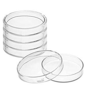 PETRIDISH GLASS  (CORDIAL)