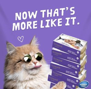 Ultimates Indulge Wet Cat Food Variety Pack 40x85g - High-Quality Mixed Flavors for Adult Cats