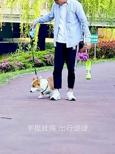 แก้วน้ำสำหรับสุนัขเดินเล่นกลางแจ้ง ขวดน้ำ แก้วน้ำและอาหารสำหรับแมวและสุนัข แก้วพกพาสำหรับการเดินทาง แก้วน้ำสำหรับสัตว์เลี้ยงกลางแจ้ง