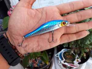 Umpan Minnow Lure Sinking 115gr 98Cm: Panduan Lengkap