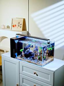 Fish Aquarium Small Fish Tank Table Top Fish Tank Set Aquarium Three-in-One Ultra-White Glass Side Filter Desktop Cylinder Aquarium Tank Fish Tank Full Set