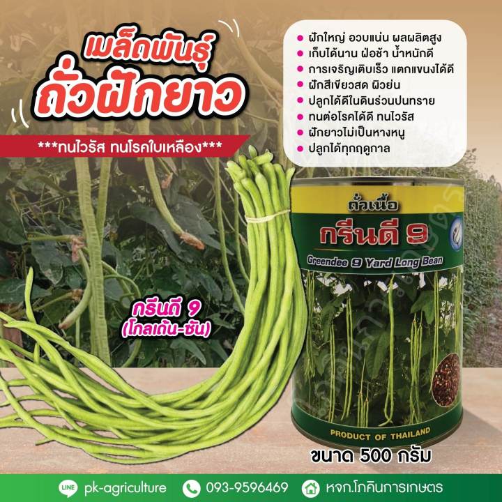 เมล็ดพันธุ์ถั่วฝักยาว กรีนดี 9 โกลเด้น-ซัน ทนไวรัส ฝักใหญ่