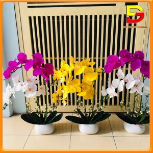 Bình Hoa Lan Hồ Điệp Cao Cấp - Chậu Hoa Giả Để Bàn Phòng Khách Cao 60cm Trang Trí Nhà Cửa Sang Trọng DH-25