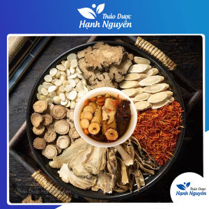 Bổ dương hoàn ngũ thang bổ khí huyết mạnh gân cốt thông kinh lạc - Thảo Dược Hạnh Nguyên