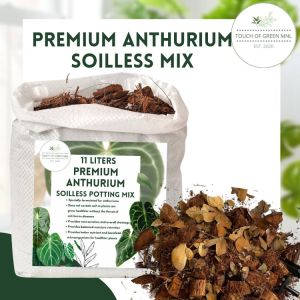 Premium Anthurium Soilless Potting Mix (4L 7L 11L)