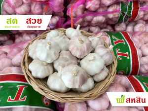 กระเทียม ปิงปอง กลีบใหญ่ 500 กรัม และ 1 กิโลกรัม เกรดสวย ลูกใหญ่ คัดคุณภาพ แข็งทุกลูก เม็ดใหญ่ ปอกง่าย สด สะอาด