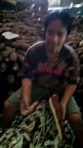 Alat Pengupas Singkong