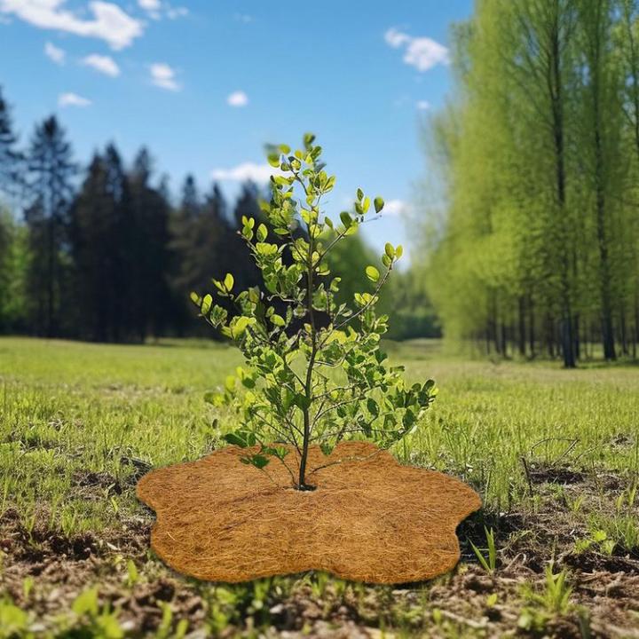 Coco xơ trọ Vòng MULCH MAT RING COIR CEIR RING Đĩa trồng hình hoa COCO NOIR Planter Mulch Mat Protector Plant Vòng đĩa cho ngoài trời trong nhà typical