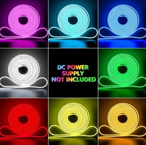 🇸🇬 Ready Stock RGB Neon LED Strip Bluetooth App + Remote Dimmable Flexible Neon Light 5M 10M UK Plug Room Decoration