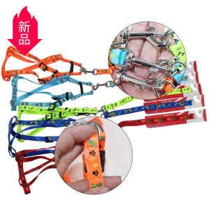 Fashionable colorful printed patch dog leash with chest harness for Teddy and small dogs top pick