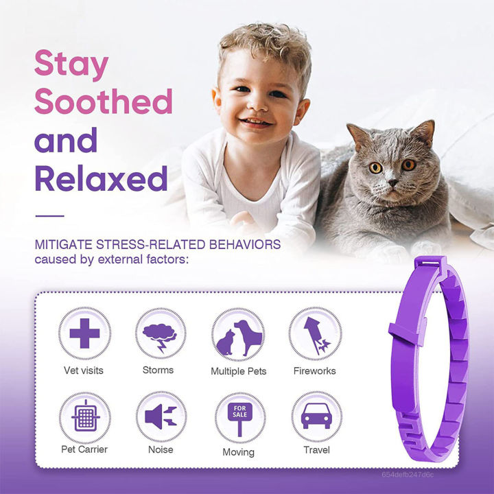 Calming Collar For Cats Efficient Relieve Reduce Anxiety Stress Collars ...