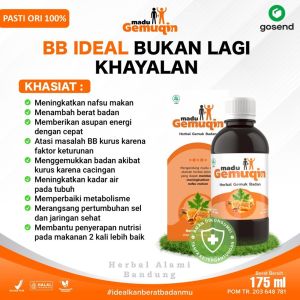 Madu Gemuqin Madu Gemuk Badan Anak & Dewasa Vitamin Penambah Nafsu Makan Alami Ampuh