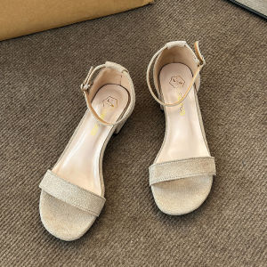 IELGY Fashion Sandals Womens Summer French Open-toe Temperament Versatile Black Chunky High Heel