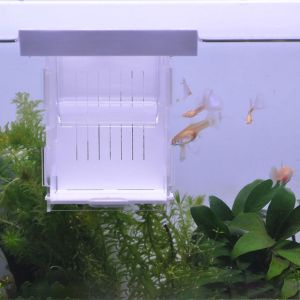 EQUOMT Transparent Fish Isolation Box Detachable Fish Tank Hatching Incubator Fish Breeding Tank Guppy Breeding Box Acrylic Fish Breeding Isolation Box for Aquarium
