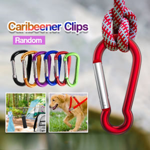 Stock Outdoor safety hook Alloy D Shaped Carabiner Spring Snap Clip Hooks Keychains Escape Lock for Hiking Camping climbing