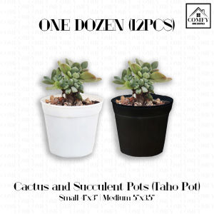 {\n \"article\": \" One Dozen (12pcs) Cactus and Succulent Flower Desk Pot Cute Mini Taho Round Corrugated Pots For Home Gardening