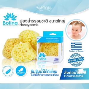 BOLINA ฟองน้ำธรรมชาติแท้ 100%