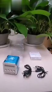 nes TD-V26Radio FM Digital Portable Speakers w/Receiver Support TF Card