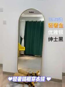 Light Luxury Hallway Mirror Aluminum Alloy with Frame Dressing Mirror Floor Full-Length Mirror Wall-Mounted Wall Sticking Household Full Body Mirror Explosion-Proof