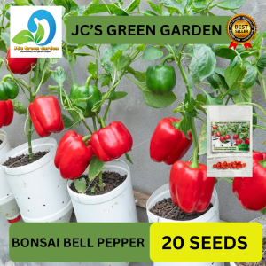 VALUE PACK (20 SEEDS) - BONSAI BELL PEPPER/FOR POTS AND CONTAINER/FAST GROWING/HIGH YIELDING