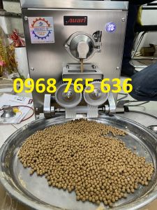 Máy làm viên hoàn mềm tự động 100% AW95-S