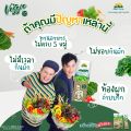 Veggie สารสกัดจากผักรวม 30 ชนิด มีไฟเบอร์ 10,000 มก ( 1 กล่อง 10 ซอง ). 