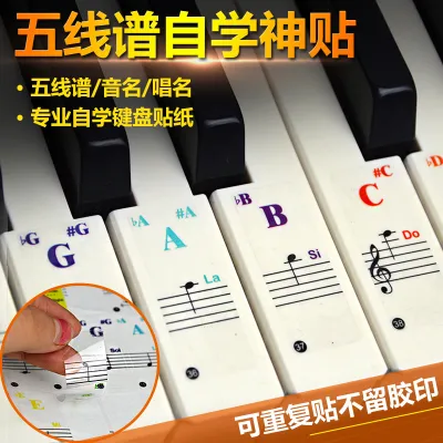 Colourful Piano Stickes for beginnerstick on white key. 钢琴、电子琴白键贴纸
