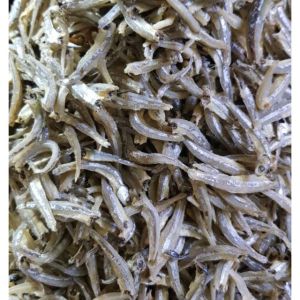 COD ikan asin teri jengki 500 gram super Ikan asin murah