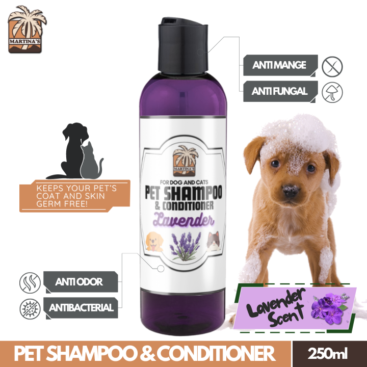 Martina's Pet Shampoo and Conditioner Lavender Scent (1 x 250ml) Dog  Shampoo With Aloe Vera Extract, Virgin Coconut Oil and Madre De Cacao, Anti  Tick