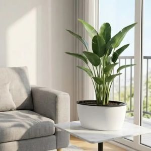 MINIFELE 262 Oval Flower Plants Pot Self Watering PP  Nursery Pots Household with Water Reservoir Planters Pot For Home Office Decor