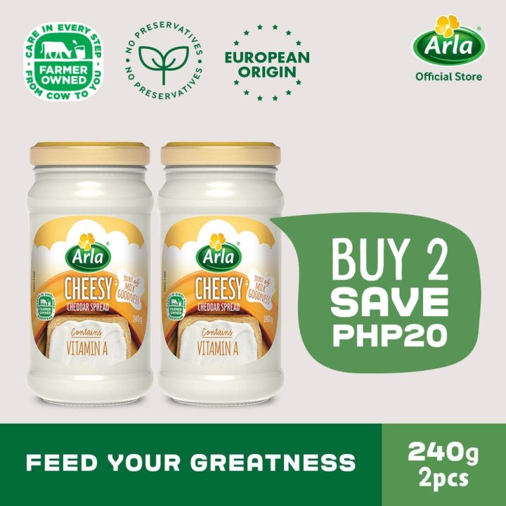 Arla Cheddar Spread 240g 2-Pack | Lazada PH