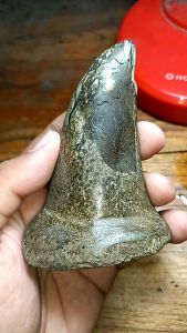 NATURAL FO SIL CULA BA DAK PURBA: Perawatan Kulit Tradisional