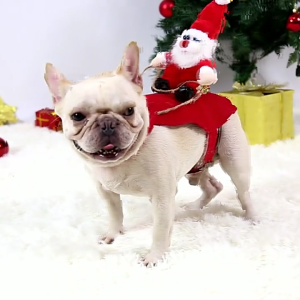 Lovely Dog Christmas Outfit Comfortable Easy Wear for Various Dogs and Cats Christmas Party Costume Decoration