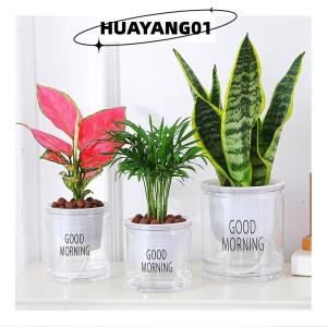 HUAYANG01 [2023 new HOT FASHION] Lazy Hydroponic Flower Pot Automatic Water-Absorbing Flowerpot Transparent Double Layer Plastic Self Watering Planter Office