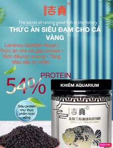 Thức ăn vỗ béo cho cá vàng giúp cá lên body đầu sáng màu công thức mới dễ tiêu hoá Jizhen 54% đạm