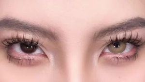 [COD] HOLLAND Mysterious Brown คอนแทคเลนส์สี สำหรับดวงตาขนาดใหญ่ คอนแทคเลนส์สี มีอายุ 1 ปี