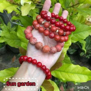 Vòng tay san hô đỏ may mắn