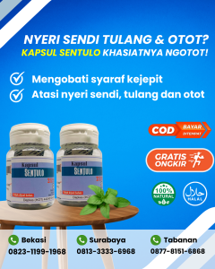 KAPSUL SENTULO | Obat Nyeri Sendi Alami | Obat Sendi Herbal | Obat Nyeri Persendian