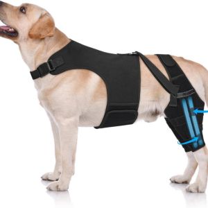 PANG8 Có thể điều chỉnh Đai bảo vệ đầu gối cho chó Thoáng khí Chống liếm Bọc Bảo Vệ Khuỷu Tay Phụ Kiện Chăm Sóc Thú Cưng với 4 bộ ổn định Hỗ trợ chân cho thú cưng Bảo vệ vết thương