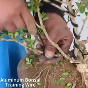 5m 1/1.5/2.5mm Black Bonsai Wire Anodized Aluminum Bonsai Training Wire Garden DIY Tool For Plan