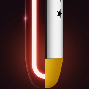 Immersed Water Heater with Stainless Steel Cover Intelligent Temperature Control Portable Bucket Heater for Bathroom