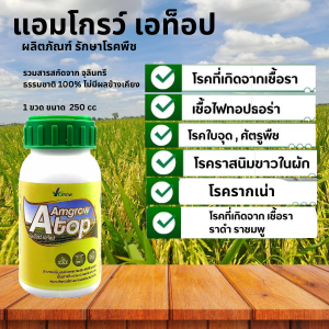 แอมโกรว์ Atop ✨ แอมโกรว์ Atop ผลิตภัณฑ์รักษาโรคพืช ✨  อะมิโนโปรตีน 18 ชนิด ผลิตจากจุลินทรีย์ ช่วยให้พืชโตเร็วสมบูรณ์ 🌿 เพิ่มการติดเมล็ด ฟื้นตัวเร็ว สร้างภูมิคุ้มกัน ร่นอายุการเก็บเกี่ยว 🌸 ดอกออกผลเร็ว ปรับปรุงดิน ให้พืชโตเร็วสมบูรณ์ 🌱