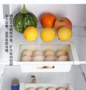 Smartchoice Tempat telur 12 grid gantungan kulkas/Tempat gantung buah sayur /Storage Multifungsi