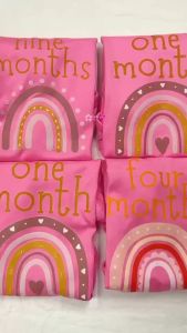 [INNOCENTTEES] BOHO RAINBOW - PINK - MILESTONE - ONESIES     BABY ONESIES     1 - 12 MONTHS