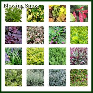 Blowing Garden Outdoor Plant Wall Flower Pot Container Wall Hanging Vertical Green