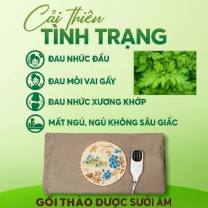 Gối Sưởi Điện Ngải Cứu 52x32cm Cao Cấp Gối Chườm Nóng Cổ Vai Gáy Thảo Dược Điều Chỉnh Nhiệt Hẹn Giờ