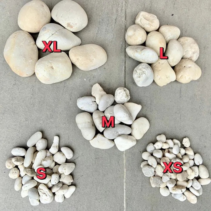 7 อันดับหินแม่น้ำและหินกรวดที่ดีที่สุดสำหรับตกแต่งสวนและตู้ปลา อัปเดตปี 2025