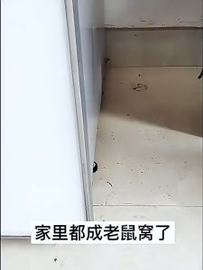READY STOCK!!! Pest & Rodent Repellent Balls 10pcs | Indoor & Outdoor Use | Home Garden Warehouse Storage Area | 虫鼠驱避丸 | AYKJ-369
