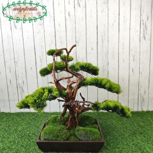 Pohon Imitasi Pohon Artificial Bonsai Latex Pot Semen Persegi Hiasan Meja Kantor Meja Ruang Tamu