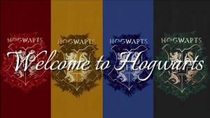 Harry Potter Role Playing Costume Set: Harry Dress Up Robe Cloak Tie Magic School Role Playing Costume Set